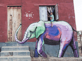 Elephant Graffiti Art
