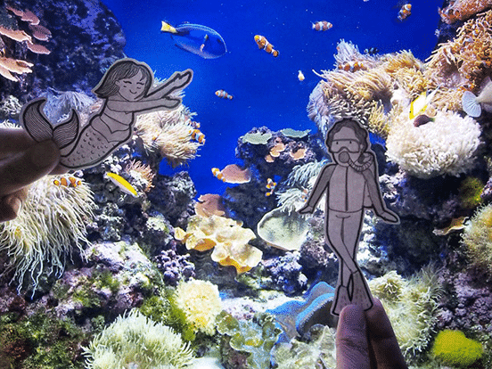 In Sea Aquarium Singapore