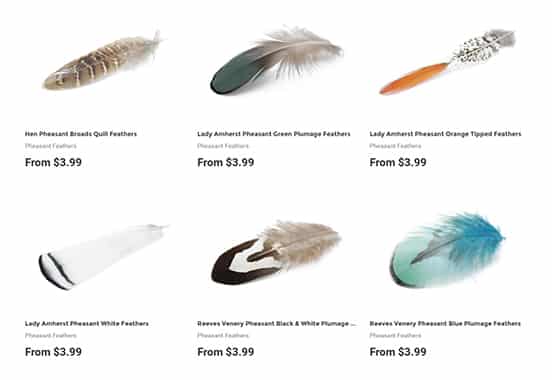 pheasant-feathers