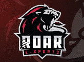 Roar E Sports
