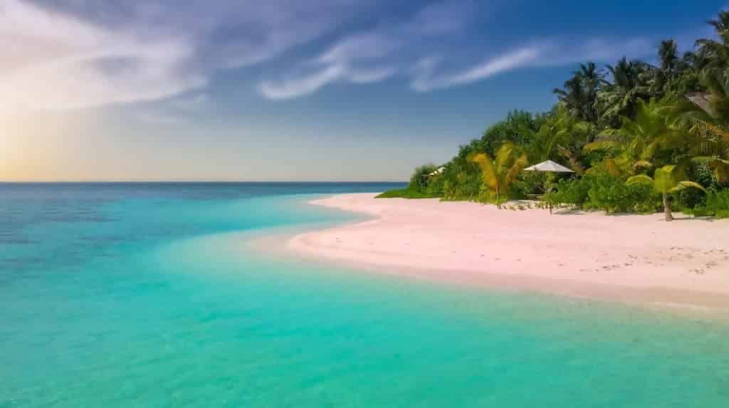 Macintosh HD:Users:brittanyloeffler:Downloads:Upwork:Beautiful Beaches:beach-coast-coconut-trees-221471.jpg