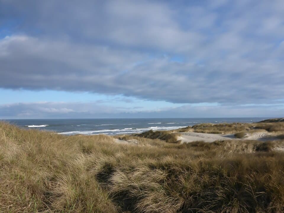 Macintosh HD:Users:brittanyloeffler:Downloads:Upwork:Beautiful Beaches:40.-Henne-Strand-Denmark.jpg