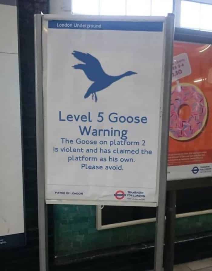 Meanwhile in London